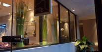 gallery02